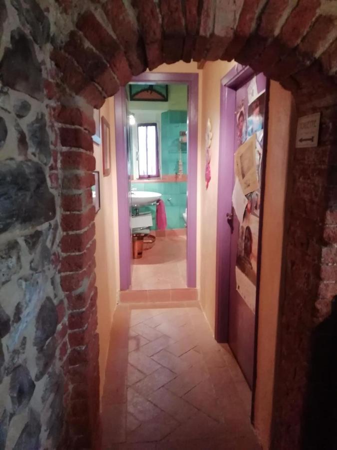 Nido Scansanese Scansano Buitenkant foto